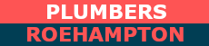Plumbers Roehampton